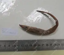 kpl比赛竞猜 -奠?Z?U,??鎿+鮣騞汚的简单介绍